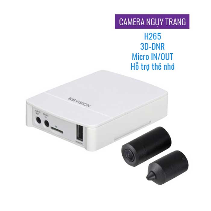 Camera IP ngụy trang thông minh 2MP KBVISION KX-E2011SN2