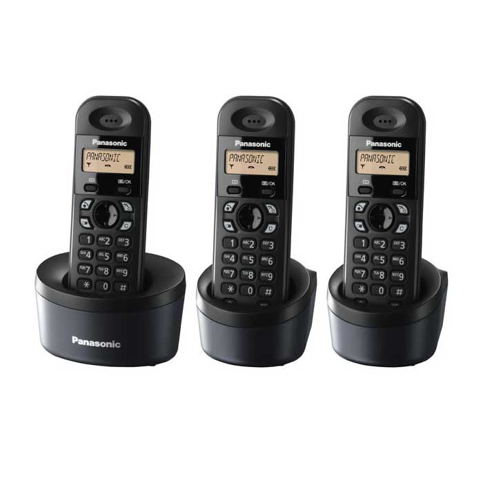 Điện thoại Dectphone PANASONIC KX-TG1313